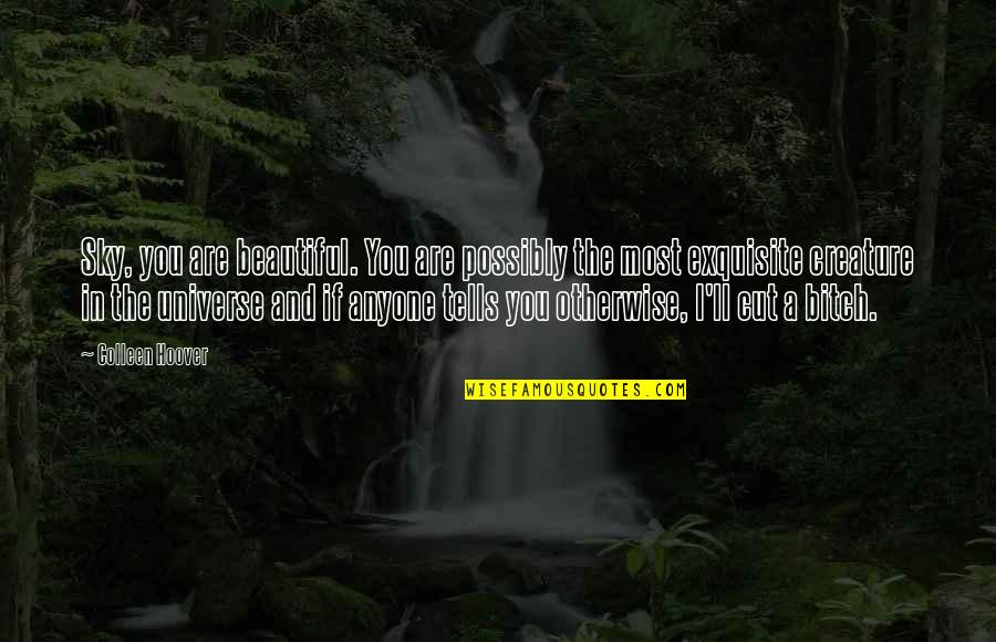 You Are Exquisite Quotes By Colleen Hoover: Sky, you are beautiful. You are possibly the