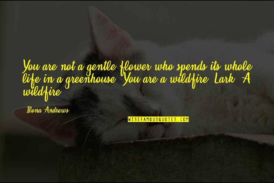 You Are Flower Quotes By Ilona Andrews: You are not a gentle flower who spends You Are Flower Quotes By Ilona Andrews: You are not a gentle flower who spends