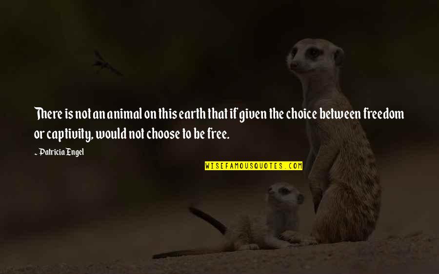 You Are Free To Choose Quotes By Patricia Engel: There is not an animal on this earth