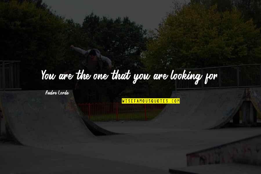 You Are Healing Quotes By Audre Lorde: You are the one that you are looking You Are Healing Quotes By Audre Lorde: You are the one that you are looking