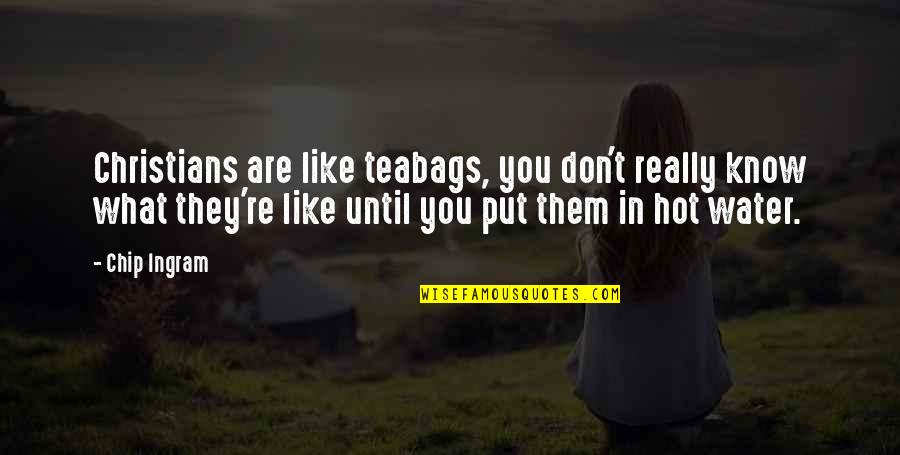 You Are Hot Like Quotes By Chip Ingram: Christians are like teabags, you don't really know