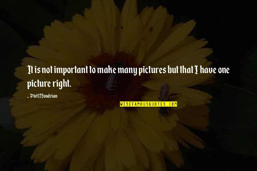 You Are Important Picture Quotes By Piet Mondrian: It is not important to make many pictures