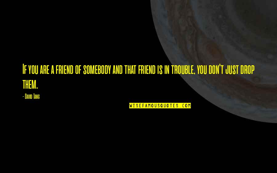 You Are In Trouble Quotes By David Tang: If you are a friend of somebody and You Are In Trouble Quotes By David Tang: If you are a friend of somebody and