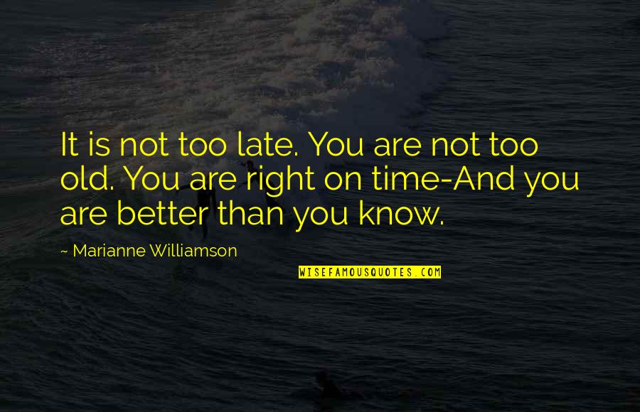 You Are Late Quotes By Marianne Williamson: It is not too late. You are not