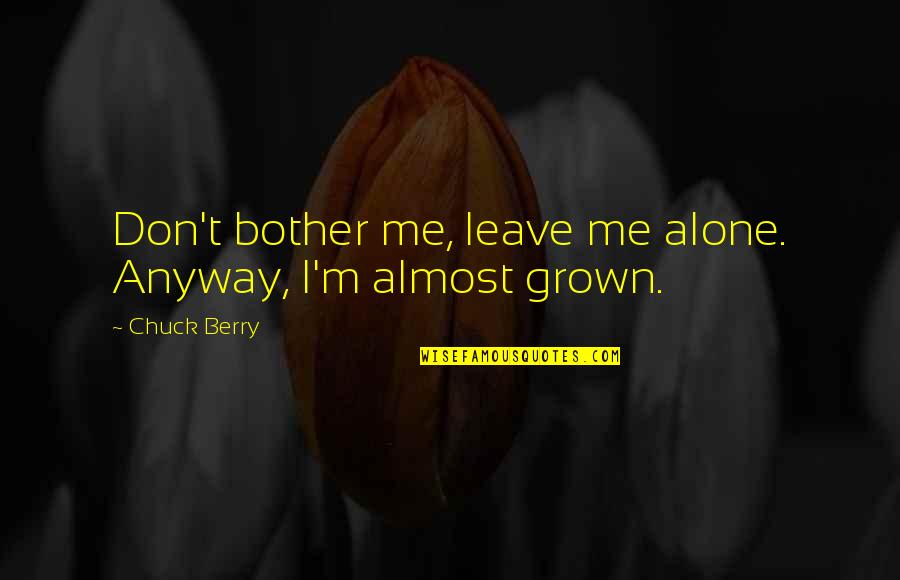 You Are Leaving Me Alone Quotes By Chuck Berry: Don't bother me, leave me alone. Anyway, I'm