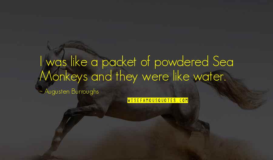 You Are Like A Sister To Me Quotes By Augusten Burroughs: I was like a packet of powdered Sea