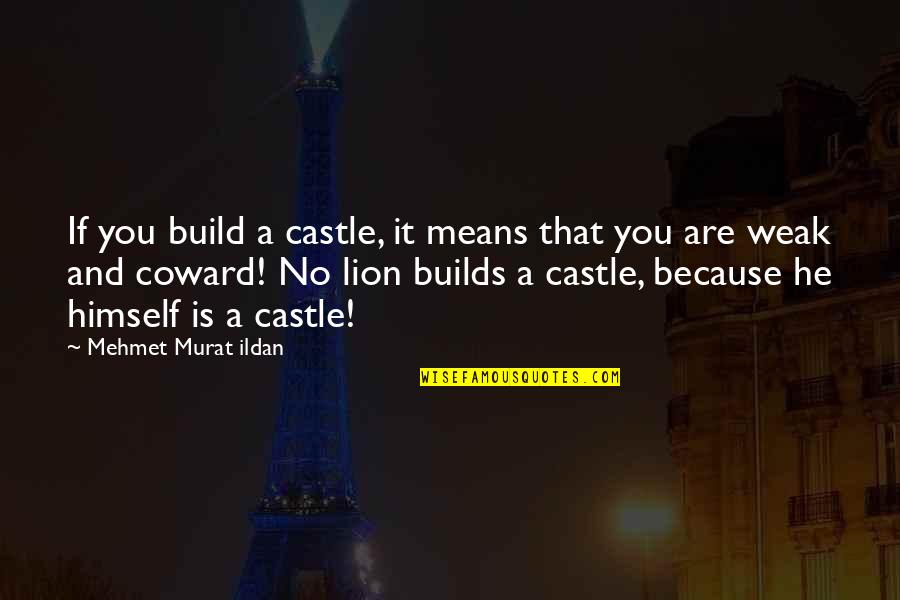 You Are Lion Quotes By Mehmet Murat Ildan: If you build a castle, it means that