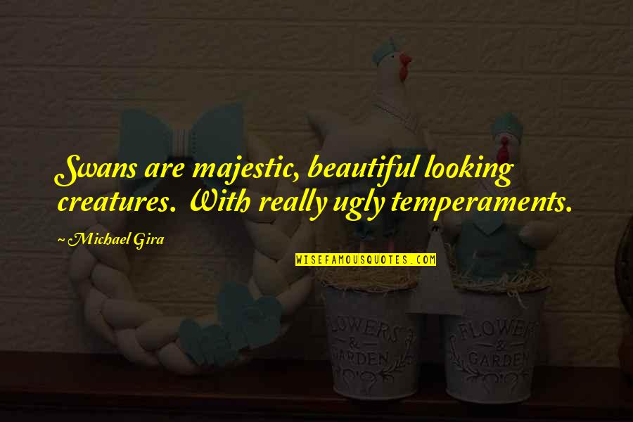 You Are Looking Beautiful Quotes By Michael Gira: Swans are majestic, beautiful looking creatures. With really