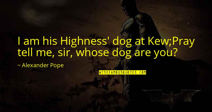 You Are Me I Am You Quotes By Alexander Pope: I am his Highness' dog at Kew;Pray tell