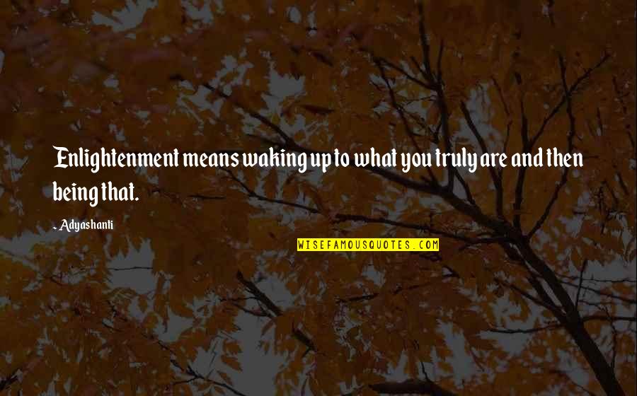 You Are Mean Quotes By Adyashanti: Enlightenment means waking up to what you truly