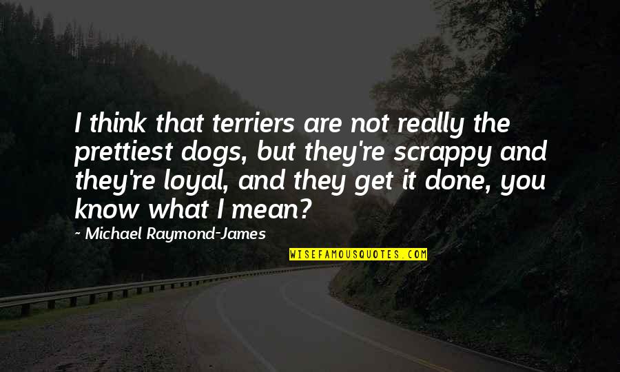 You Are Mean Quotes By Michael Raymond-James: I think that terriers are not really the You Are Mean Quotes By Michael Raymond-James: I think that terriers are not really the