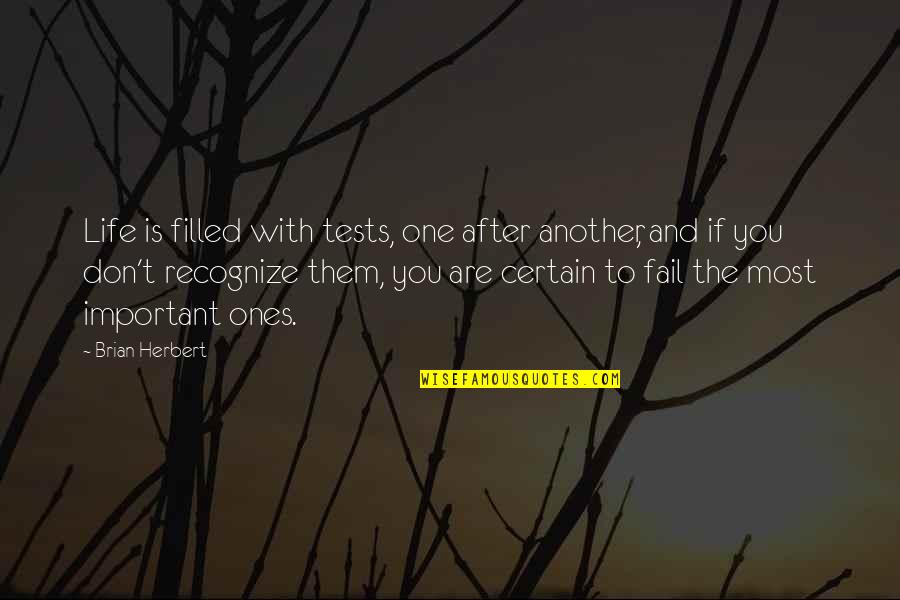 You Are Most Important Quotes By Brian Herbert: Life is filled with tests, one after another,