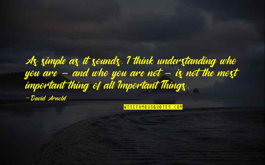 You Are Most Important Quotes By David Arnold: As simple as it sounds, I think understanding