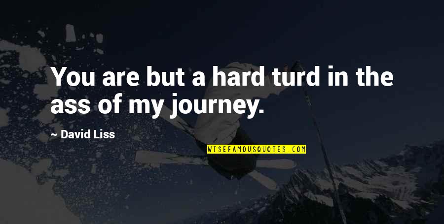 You Are My Journey Quotes By David Liss: You are but a hard turd in the