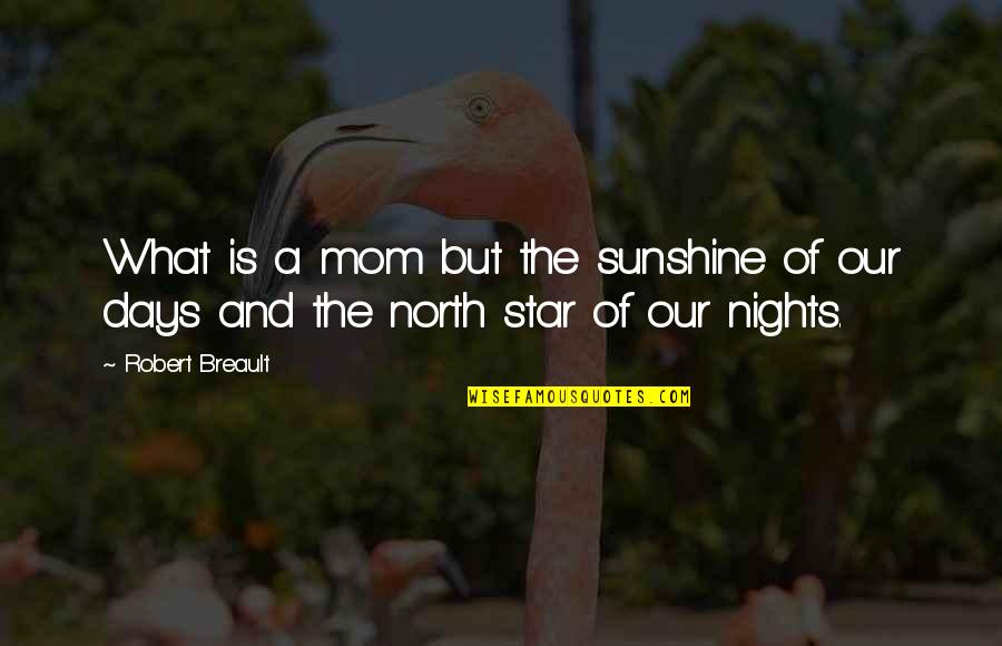 You Are My North Star Quotes By Robert Breault: What is a mom but the sunshine of