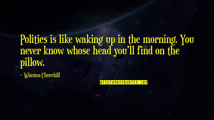 You Are My Pillow Quotes By Winston Churchill: Politics is like waking up in the morning.