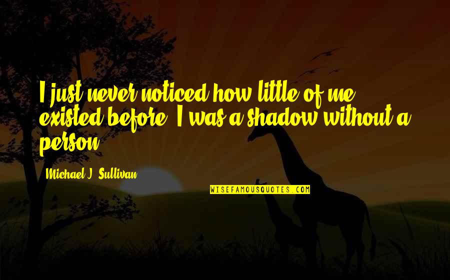 You Are My Shadow Love Quotes By Michael J. Sullivan: I just never noticed how little of me