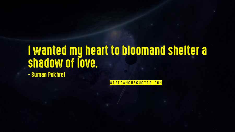 You Are My Shadow Love Quotes By Suman Pokhrel: I wanted my heart to bloomand shelter a