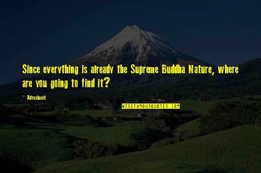 You Are Nature Quotes By Adyashanti: Since everything is already the Supreme Buddha Nature,