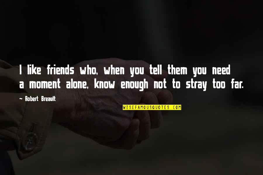 You Are Not Alone Friendship Quotes By Robert Breault: I like friends who, when you tell them