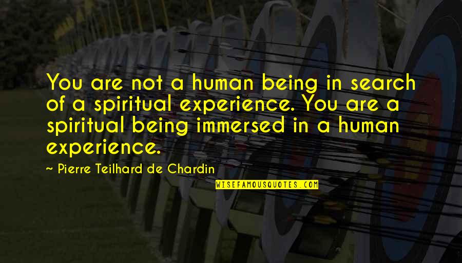 You Are Not Human Quotes By Pierre Teilhard De Chardin: You are not a human being in search