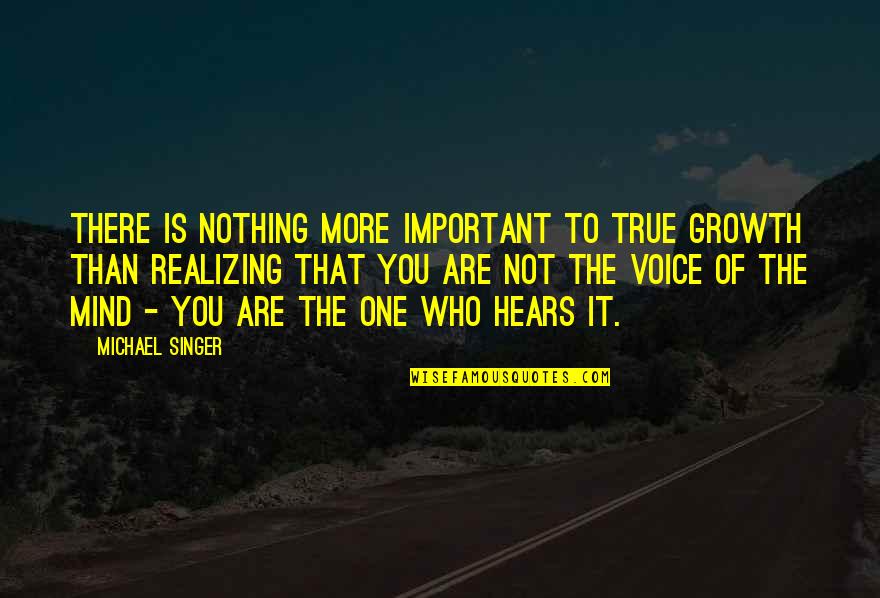 You Are Not Important Quotes By Michael Singer: There is nothing more important to true growth