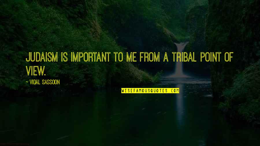 You Are Not Important To Me Quotes By Vidal Sassoon: Judaism is important to me from a tribal