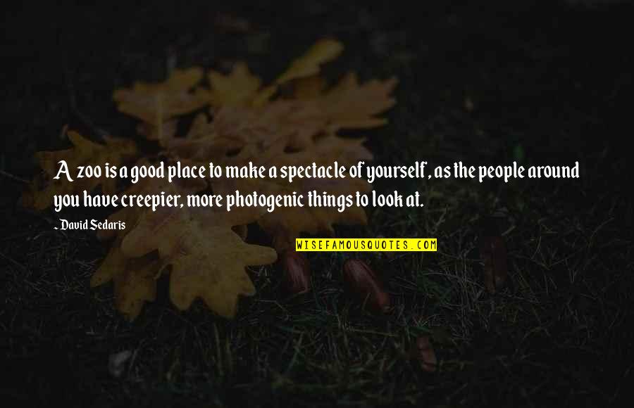 You Are Photogenic Quotes By David Sedaris: A zoo is a good place to make