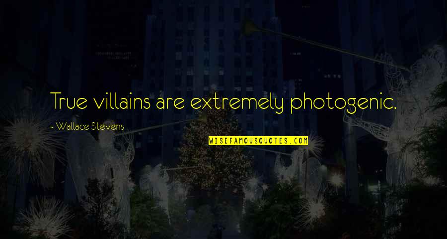 You Are Photogenic Quotes By Wallace Stevens: True villains are extremely photogenic.