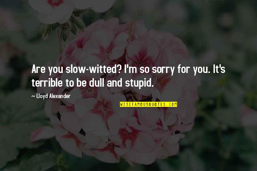 You Are So Stupid Quotes By Lloyd Alexander: Are you slow-witted? I'm so sorry for you.