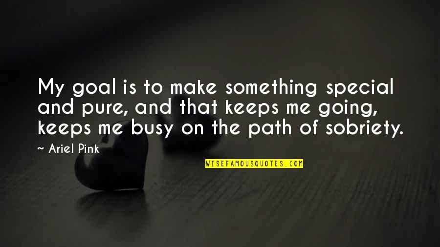 You Are Special For Me Quotes By Ariel Pink: My goal is to make something special and You Are Special For Me Quotes By Ariel Pink: My goal is to make something special and