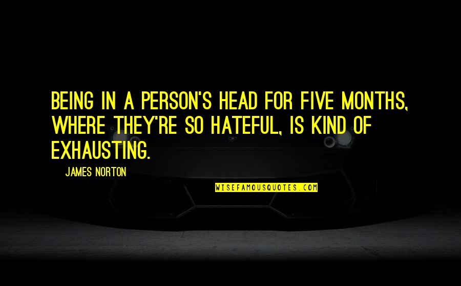 You Are Such A Kind Person Quotes By James Norton: Being in a person's head for five months,