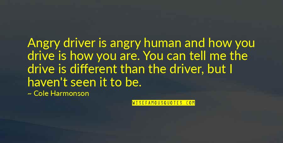 You Are The Driver Of Your Own Life Quotes By Cole Harmonson: Angry driver is angry human and how you