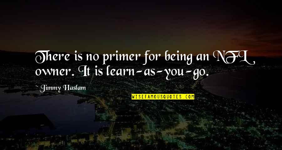 You Are The Owner Quotes By Jimmy Haslam: There is no primer for being an NFL