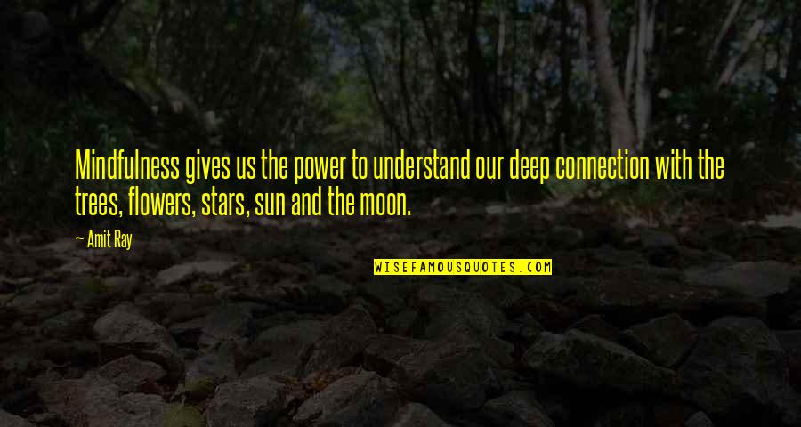 You Are The Sun The Moon And The Stars Quotes By Amit Ray: Mindfulness gives us the power to understand our You Are The Sun The Moon And The Stars Quotes By Amit Ray: Mindfulness gives us the power to understand our