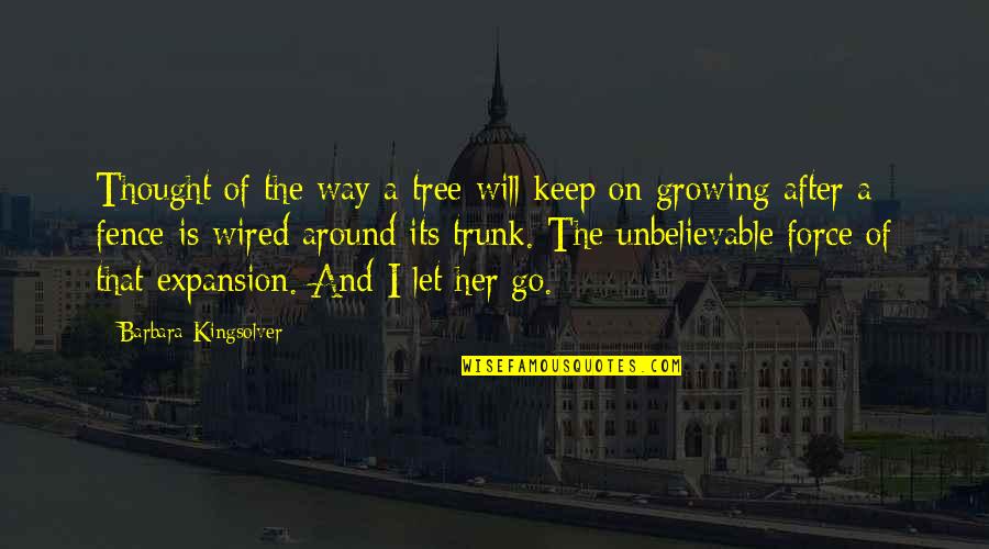 You Are Unbelievable Quotes By Barbara Kingsolver: Thought of the way a tree will keep