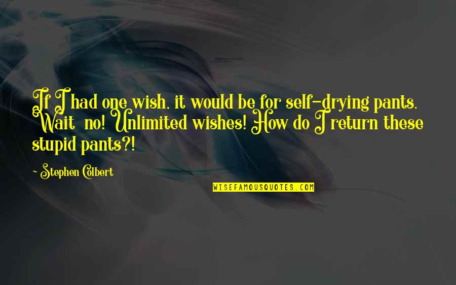 You Are Unlimited Quotes By Stephen Colbert: If I had one wish, it would be