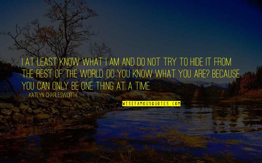 You Are What You Hide Quotes By Katlyn Charlesworth: I at least know what I am and