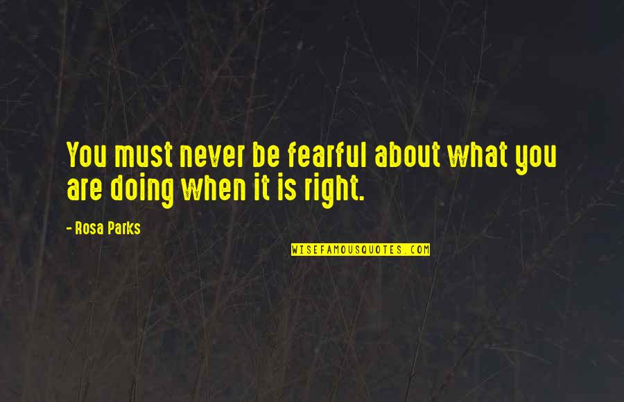 You Are What You Quotes By Rosa Parks: You must never be fearful about what you