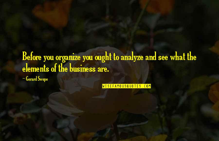 You Are What You See Quotes By Gerard Swope: Before you organize you ought to analyze and