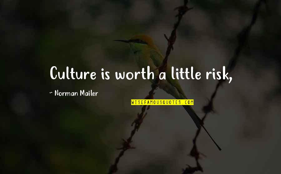 You Are Worth The Risk Quotes By Norman Mailer: Culture is worth a little risk,