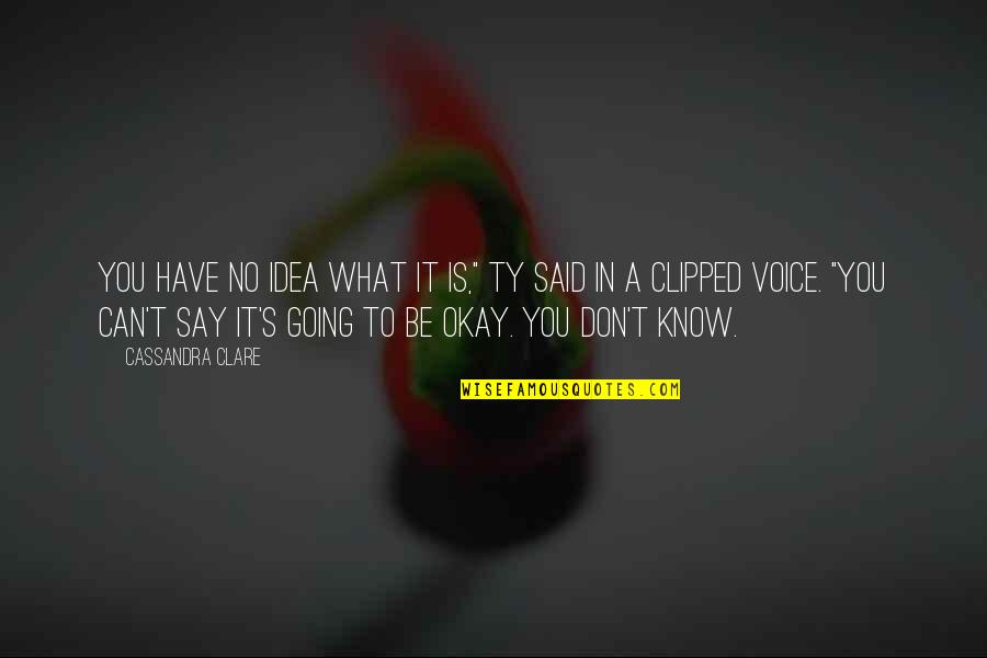 You Be Okay Quotes By Cassandra Clare: You have no idea what it is," Ty