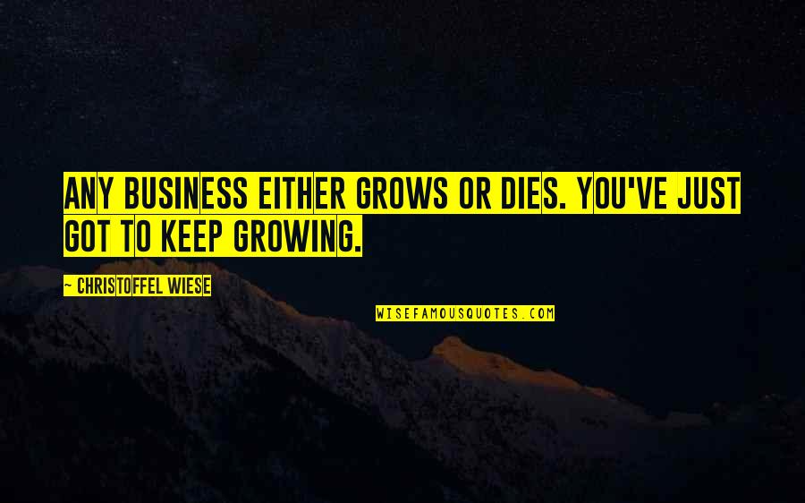You Being In Control With Your Happiness Quotes By Christoffel Wiese: Any business either grows or dies. You've just