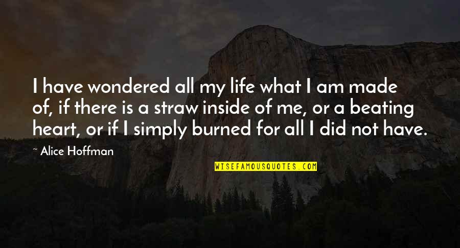 You Burned Me Quotes By Alice Hoffman: I have wondered all my life what I