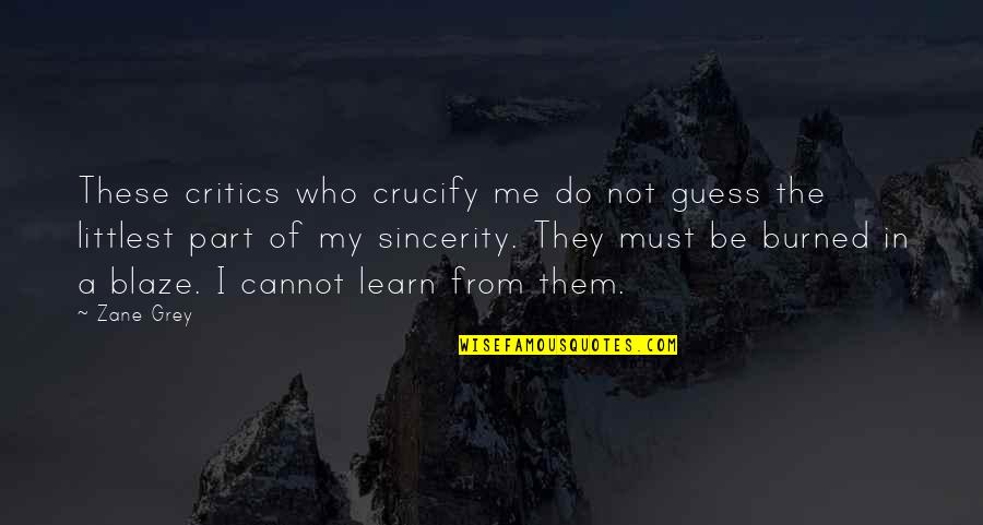 You Burned Me Quotes By Zane Grey: These critics who crucify me do not guess