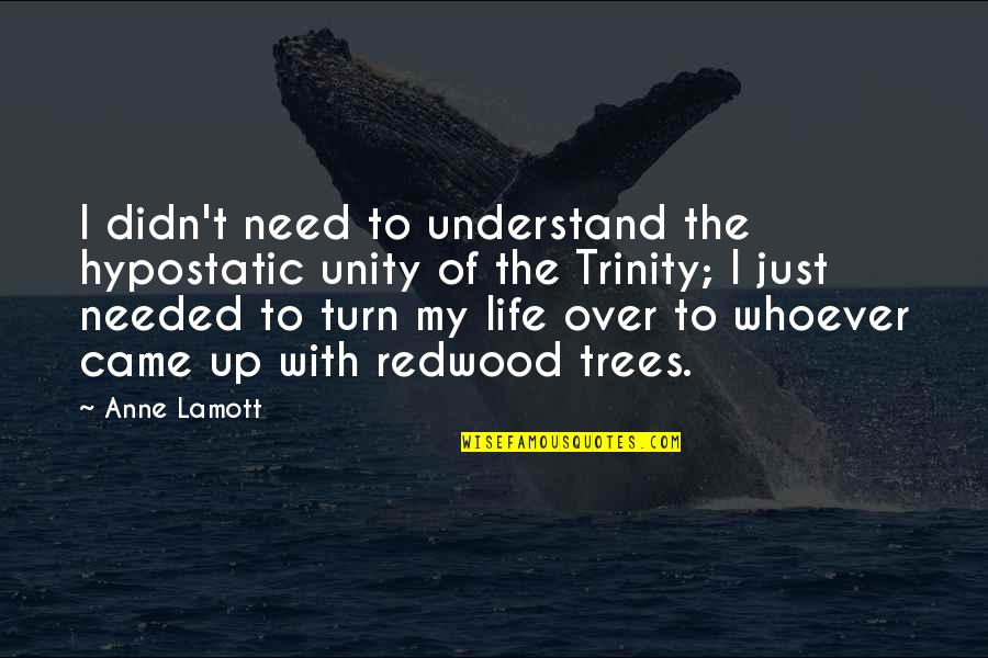You Came From Nature Quotes By Anne Lamott: I didn't need to understand the hypostatic unity You Came From Nature Quotes By Anne Lamott: I didn't need to understand the hypostatic unity