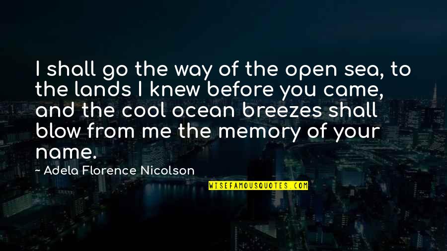 You Came To Me Quotes By Adela Florence Nicolson: I shall go the way of the open