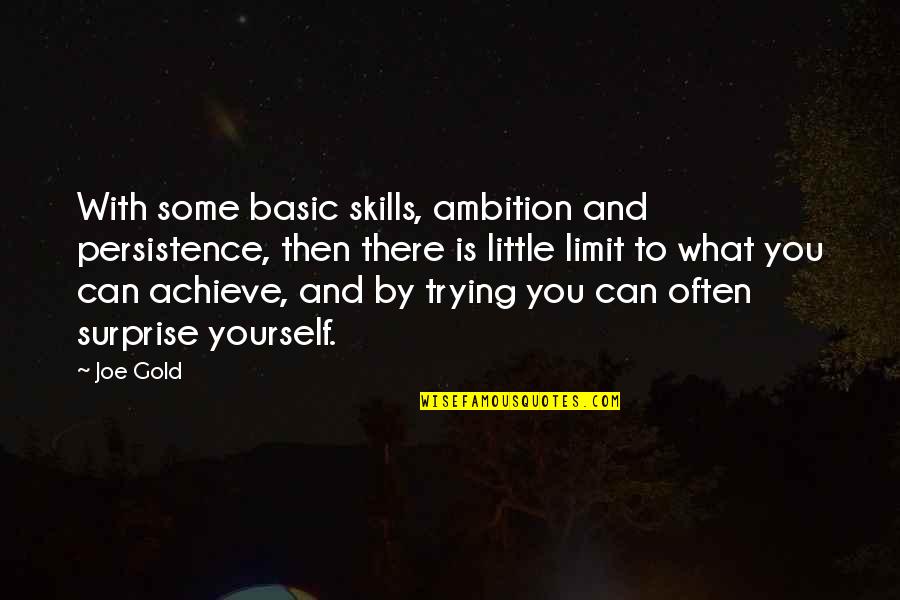 You Can Achieve Quotes By Joe Gold: With some basic skills, ambition and persistence, then