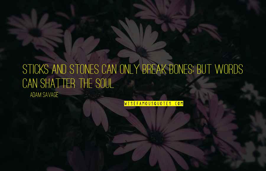 You Can Break My Soul Quotes By Adam Savage: Sticks and stones can only break bones; but