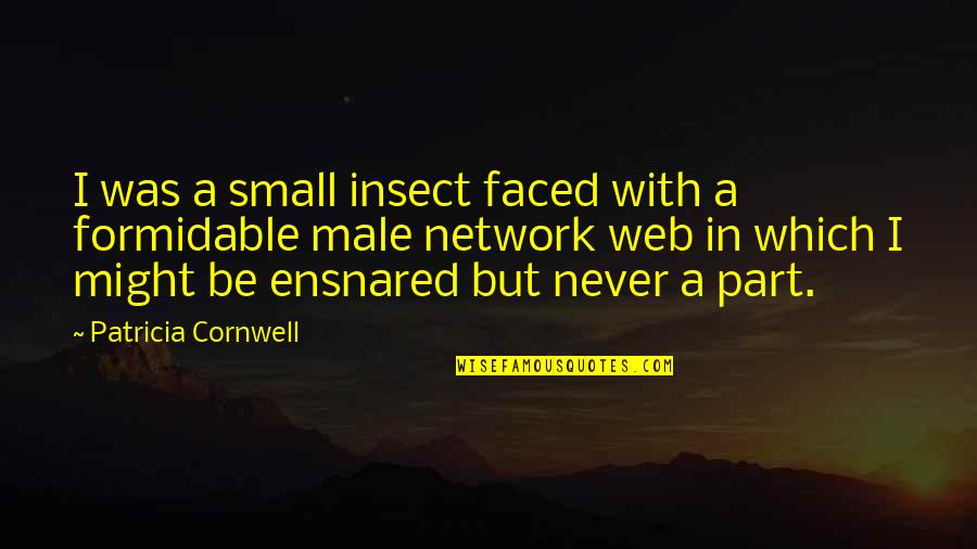 You Can Break My Soul Take My Life Away Quote Quotes By Patricia Cornwell: I was a small insect faced with a You Can Break My Soul Take My Life Away Quote Quotes By Patricia Cornwell: I was a small insect faced with a